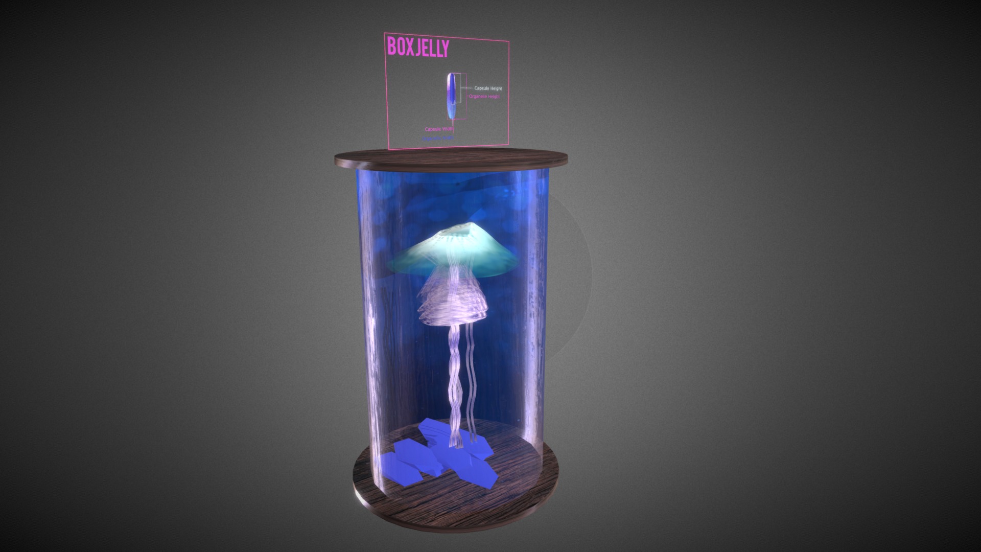 3D model Box Jellyfish : Nematocysts Structure - This is a 3D model of the Box Jellyfish : Nematocysts Structure. The 3D model is about a glass with a light inside.