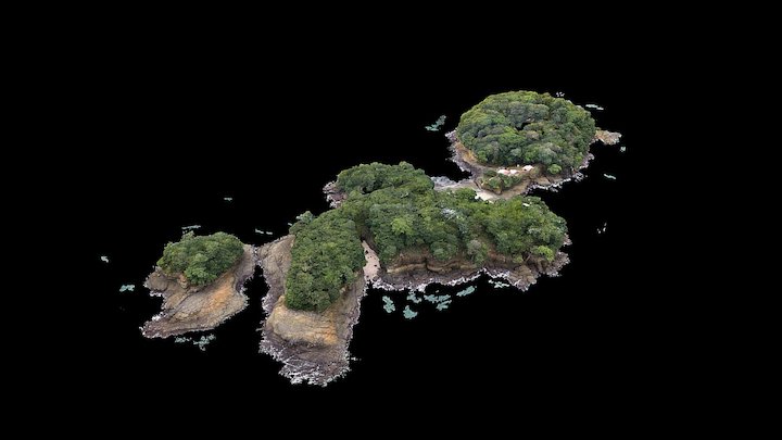COCOSISLANDPOINTCLOUD - Cloud 3D Model