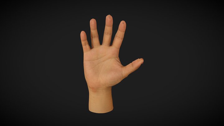 H-Unique Textured Hand (2024) 3D Model