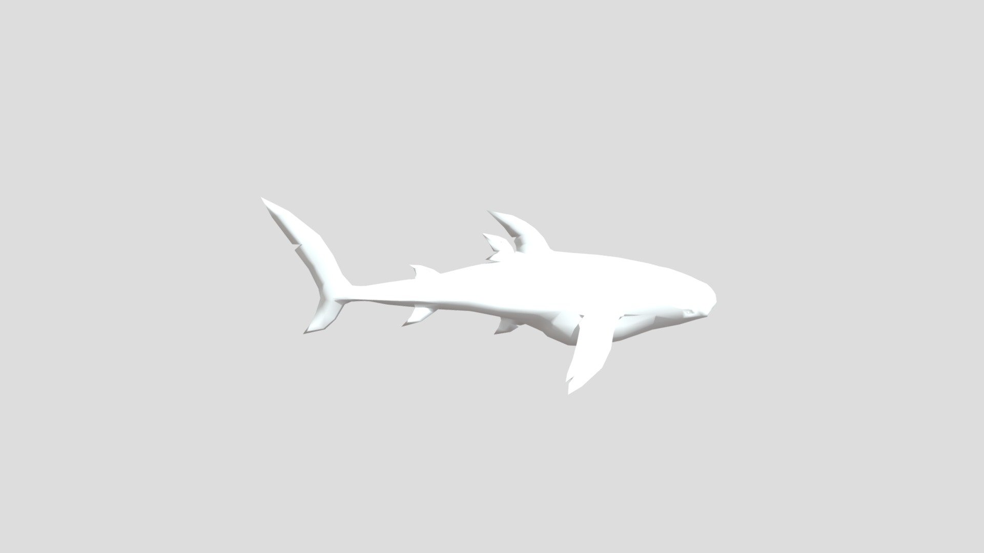 Whale Shark