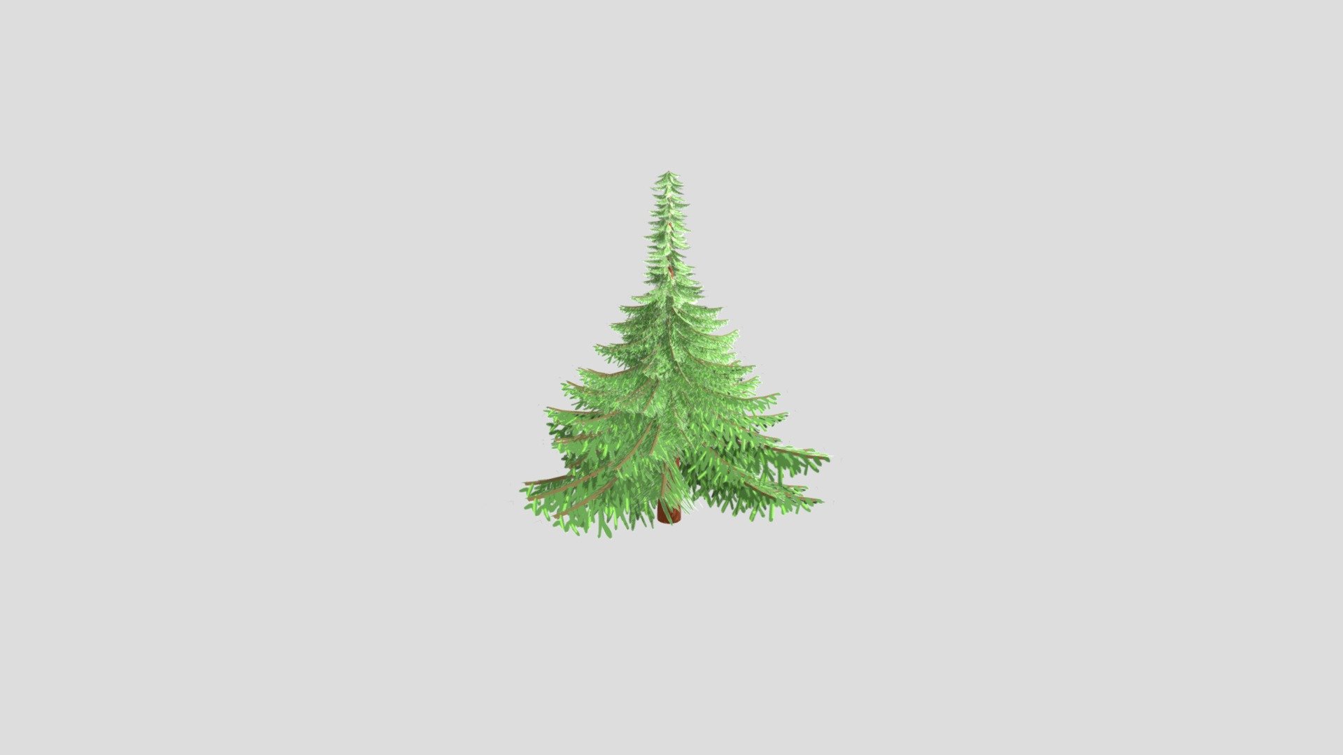 Tannenbaum