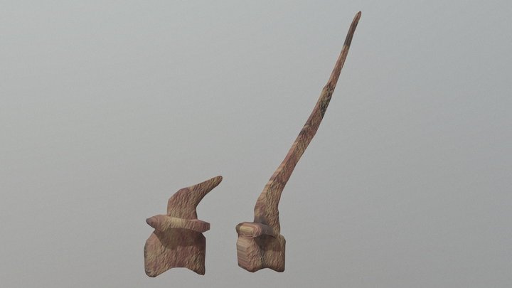 Simple Spinosaurus Slender Morph Bones 3D Model