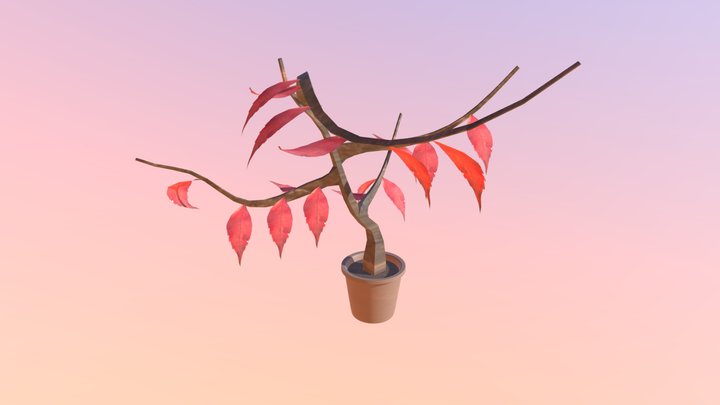 Week 9 Plant 3D Model