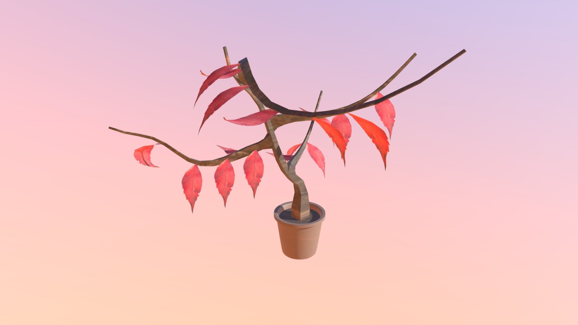 Week 9 Plant
