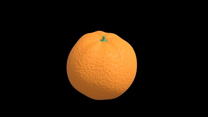 🧡Orange🧡 3D Model