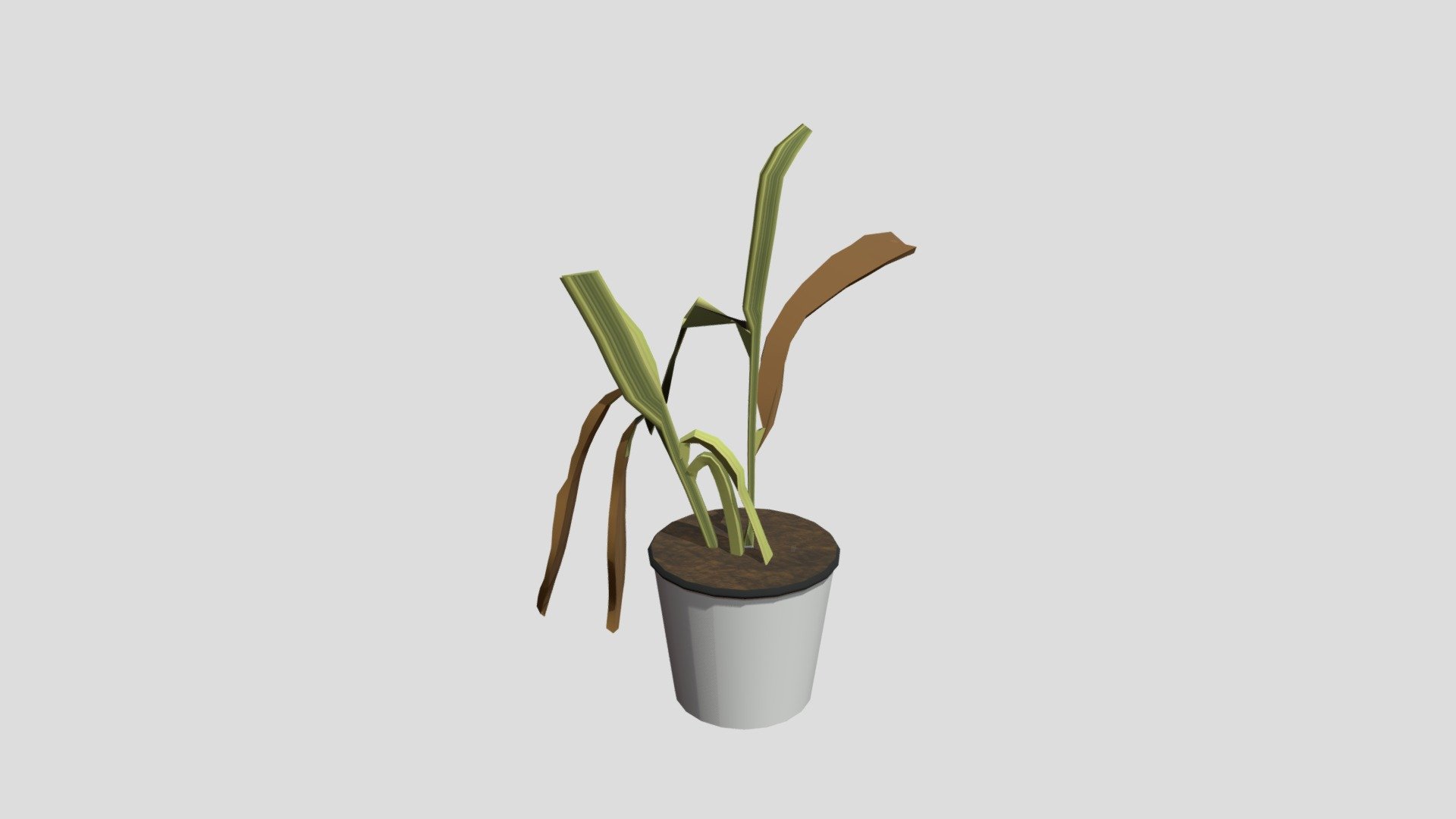 Carlson_Mars_wk8_0031242401_Plant