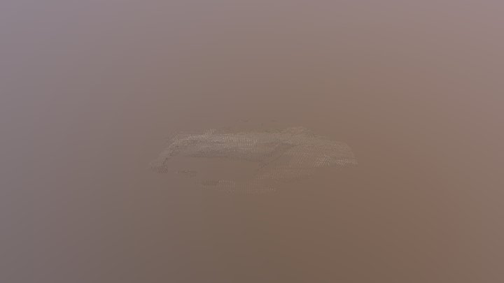 12 Dsm 100cm 3D Model