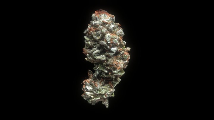 Metawanna 3D Model
