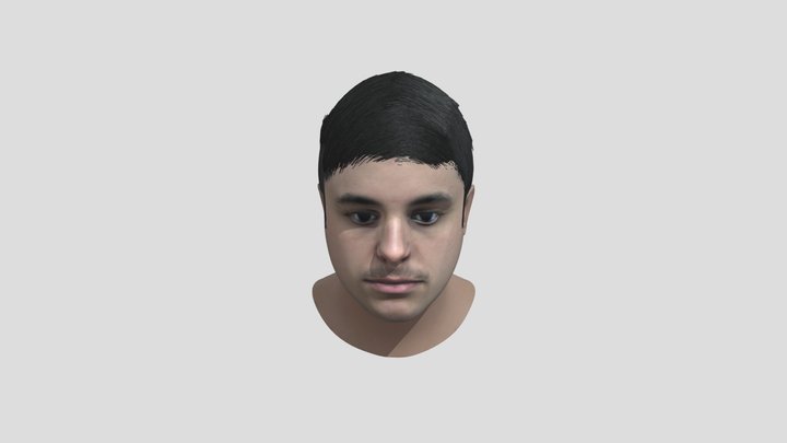 Head Model 3D Model