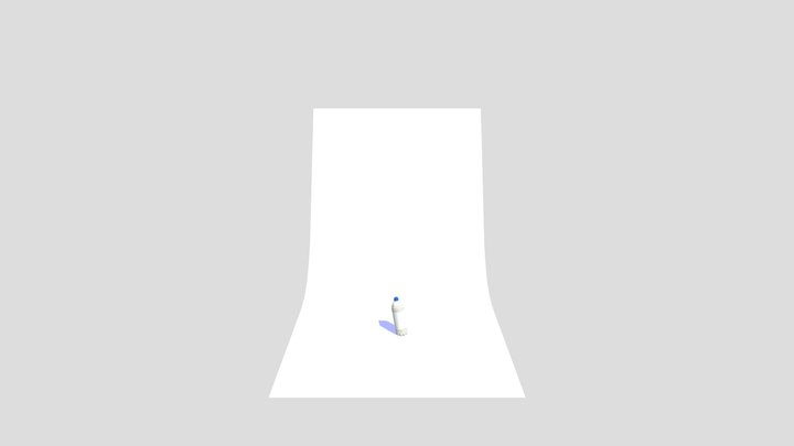 BOTTLE 3D Model