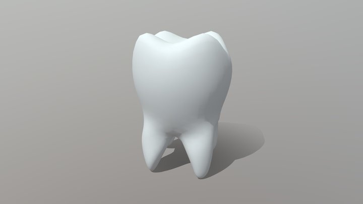 Molar (Tooth) 3D Model