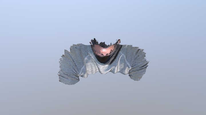 Matt 1 3D Model