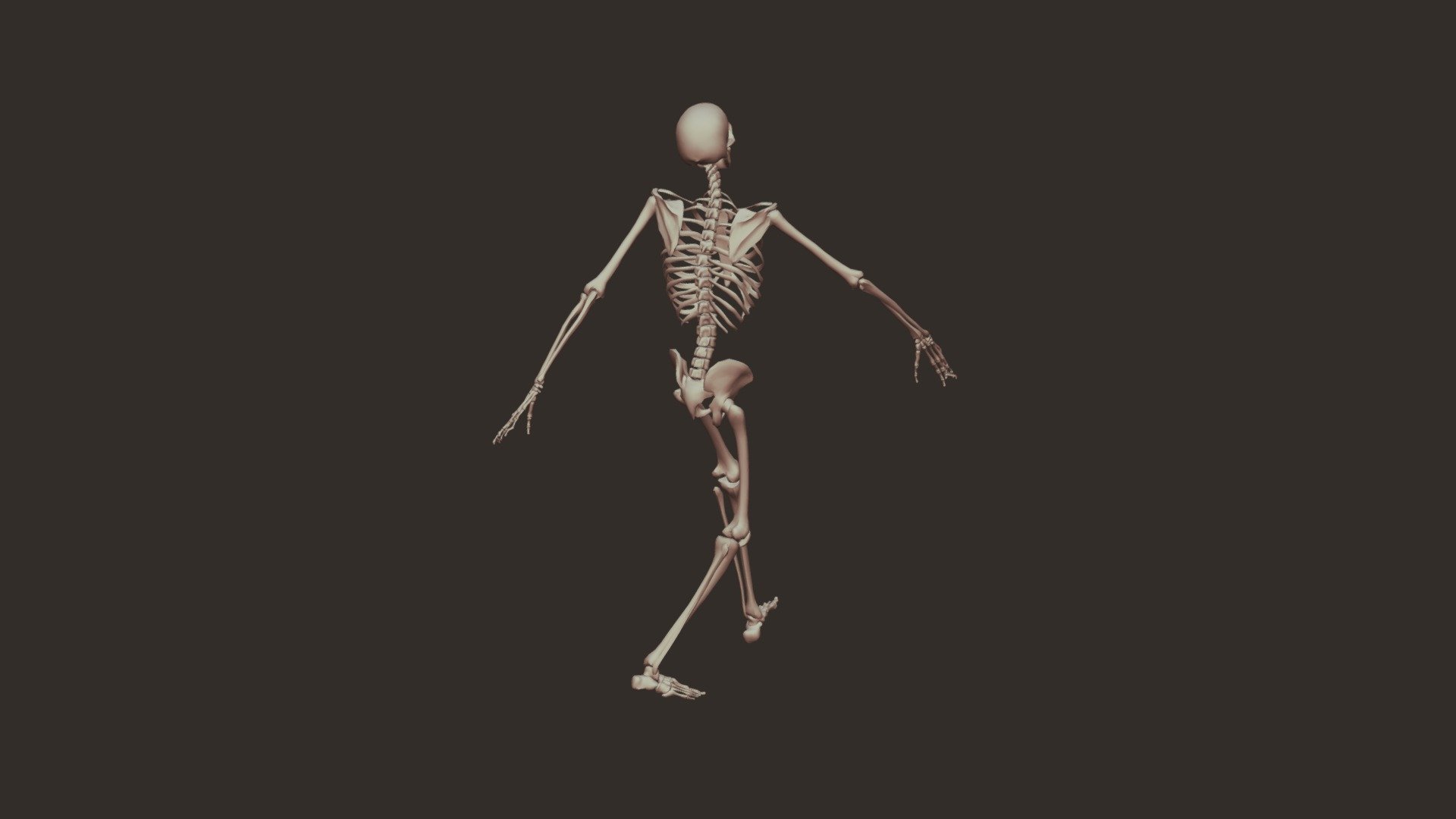 Grumpy Skeleton Walk Cycle - Download Free 3D model by TK.Pong (@TK ...