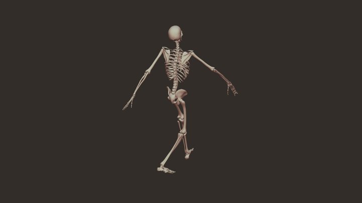 Grumpy Skeleton Walk Cycle 3D Model