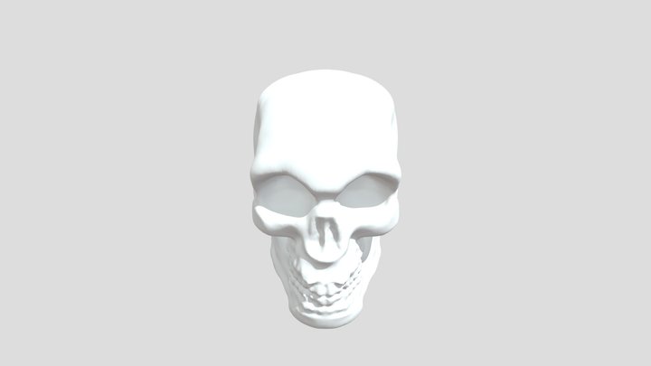 Skull practise 3D Model