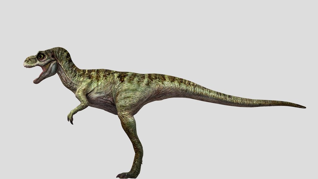 DracoWarrior's Junior