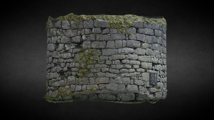 Round Tower - Kilnaboy 3D Model