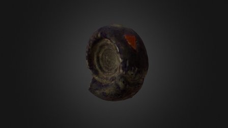 Kazakhstania ntida 3D Model