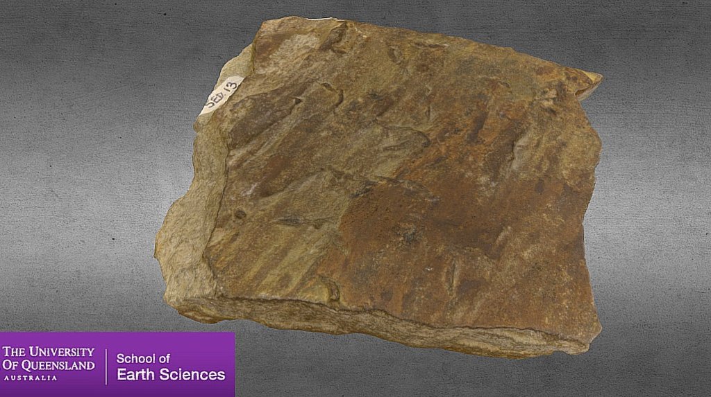 Sedimentary Structures Tool Marks 2 3D model by nate_siddle (nate