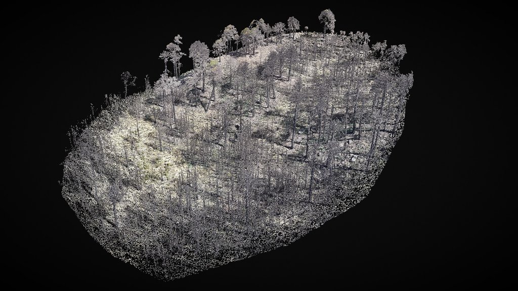 Point cloud from Lumalabs