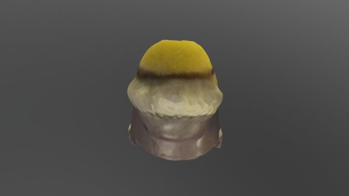New Qlone 3D Model