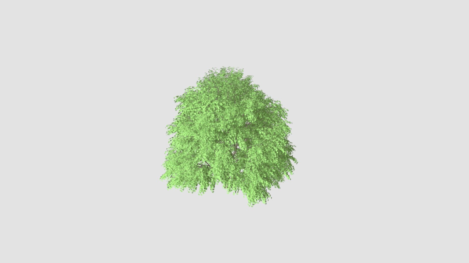 tree - Buy Royalty Free 3D model by Evermotion [72ed650] - Sketchfab Store
