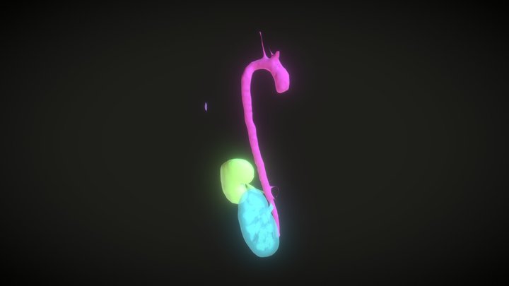 CTAcardio Segmentations 3D Model