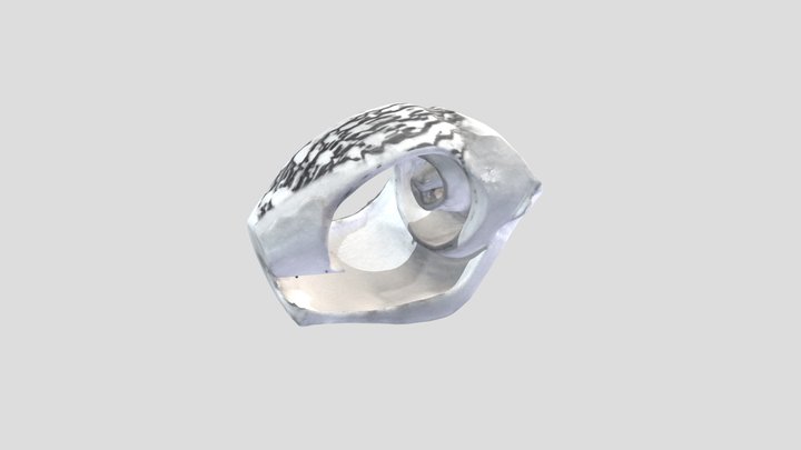 ゴホウラ貝輪(土井ヶ浜タイプ：模造) 3D Model