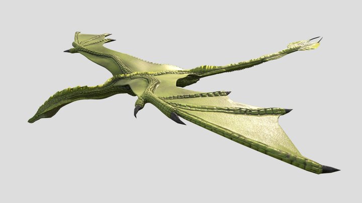 Green Dragon 3D Model