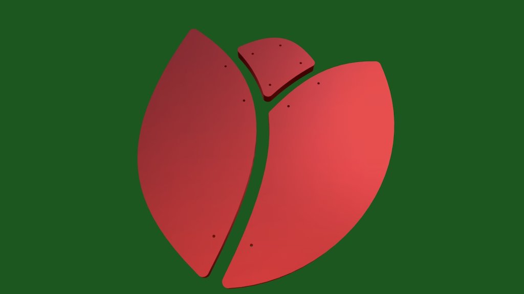Tulip