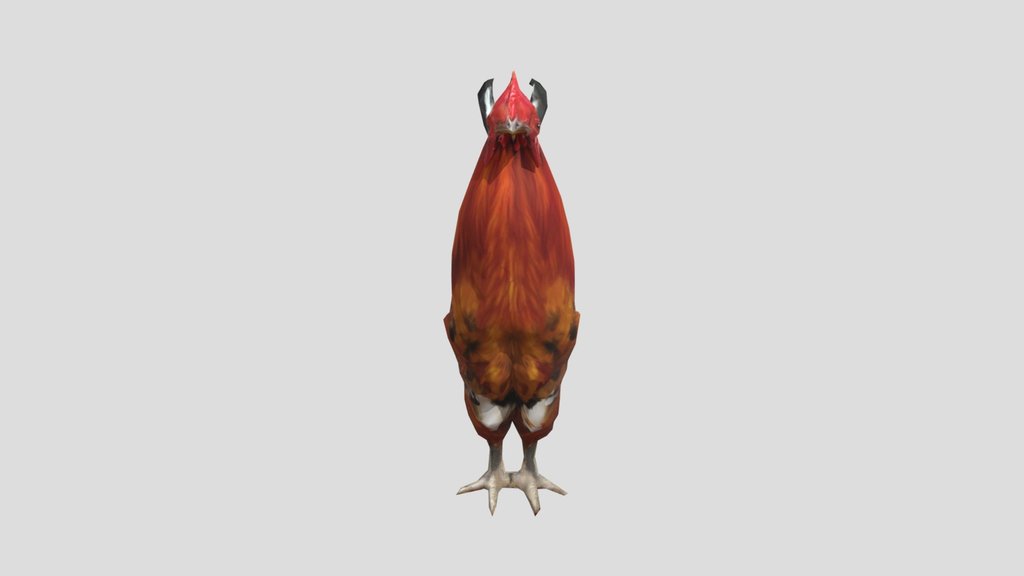 Majestic Rooster