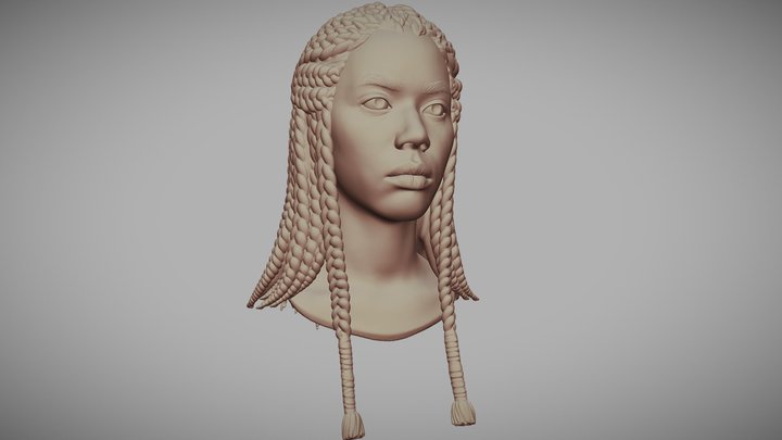 Female Head with Braids Hair 3D Model