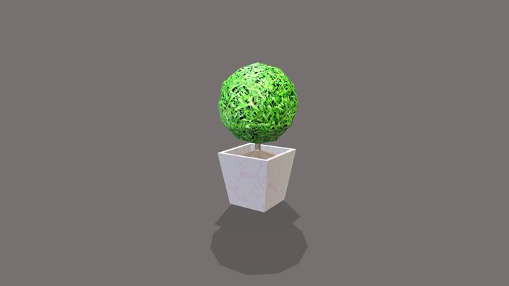 Plant Model 3D Model