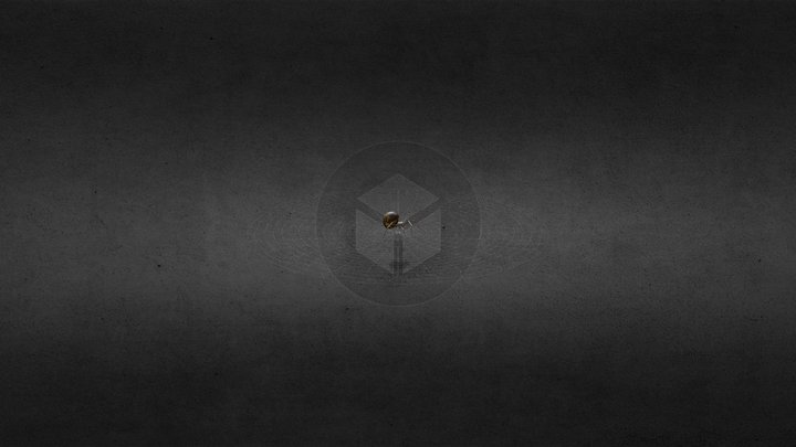 spider at house 3D Model