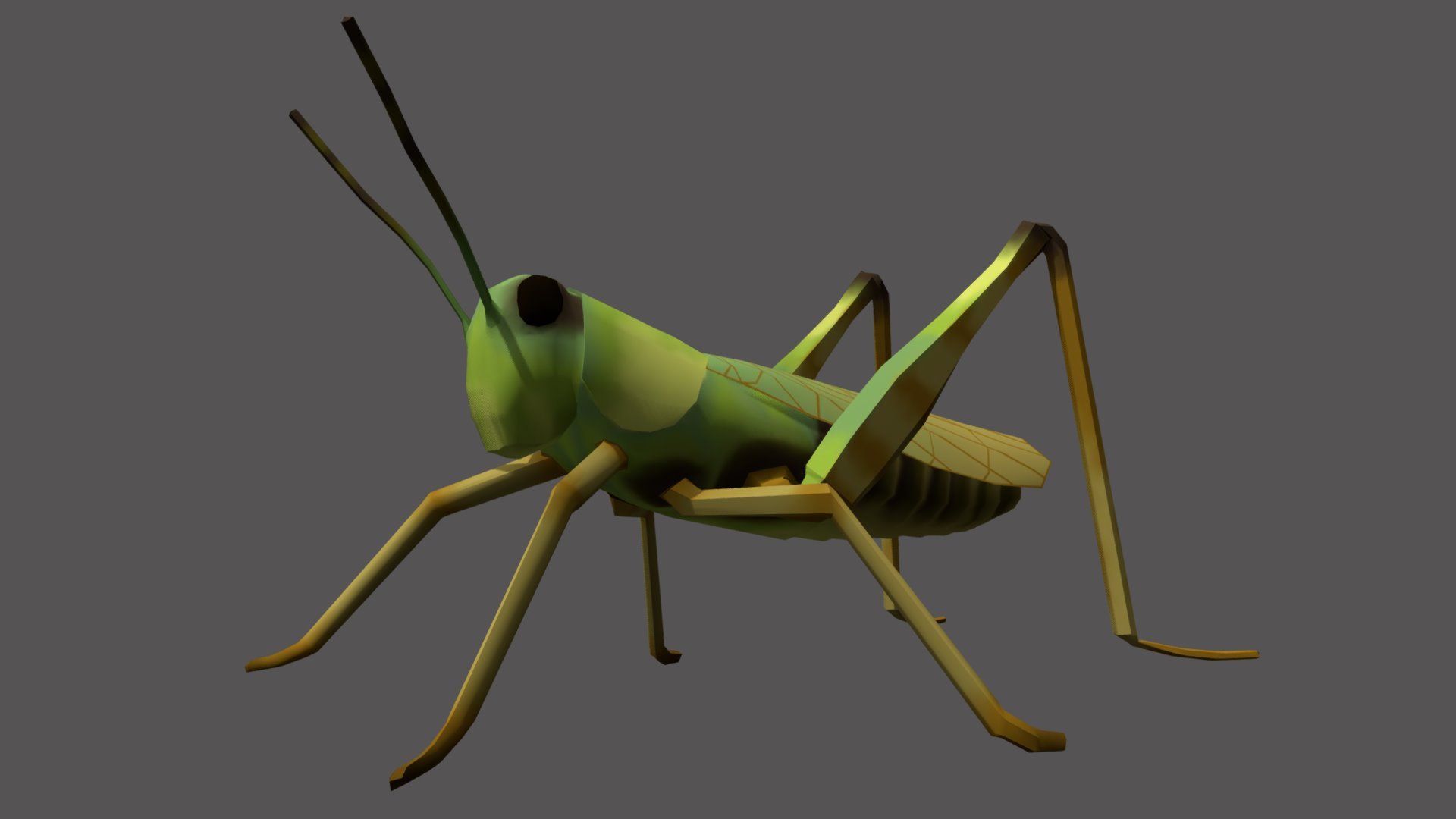 Grasshopper - 3D model by suchada (@suchadasaa10) [72f7371] - Sketchfab