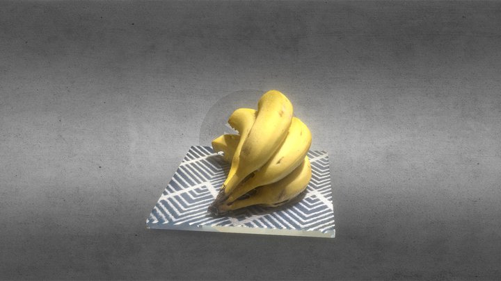 Scan 2023-05-01T14:52:43.643Z 3D Model