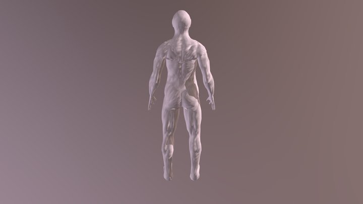 Modelo 3D Model
