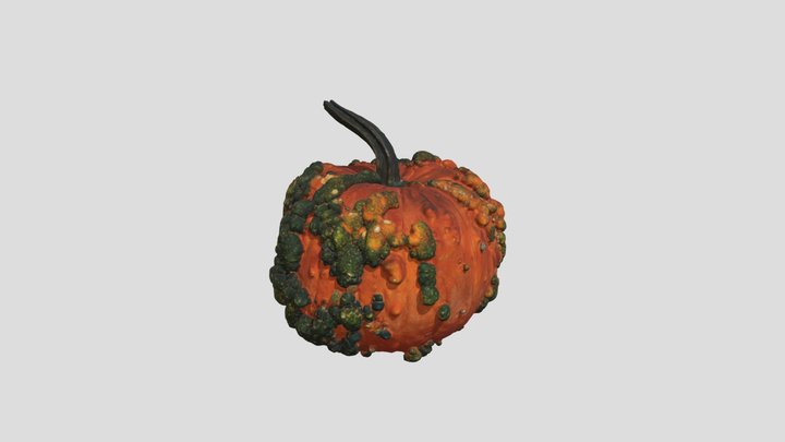 Pumpkin 2025