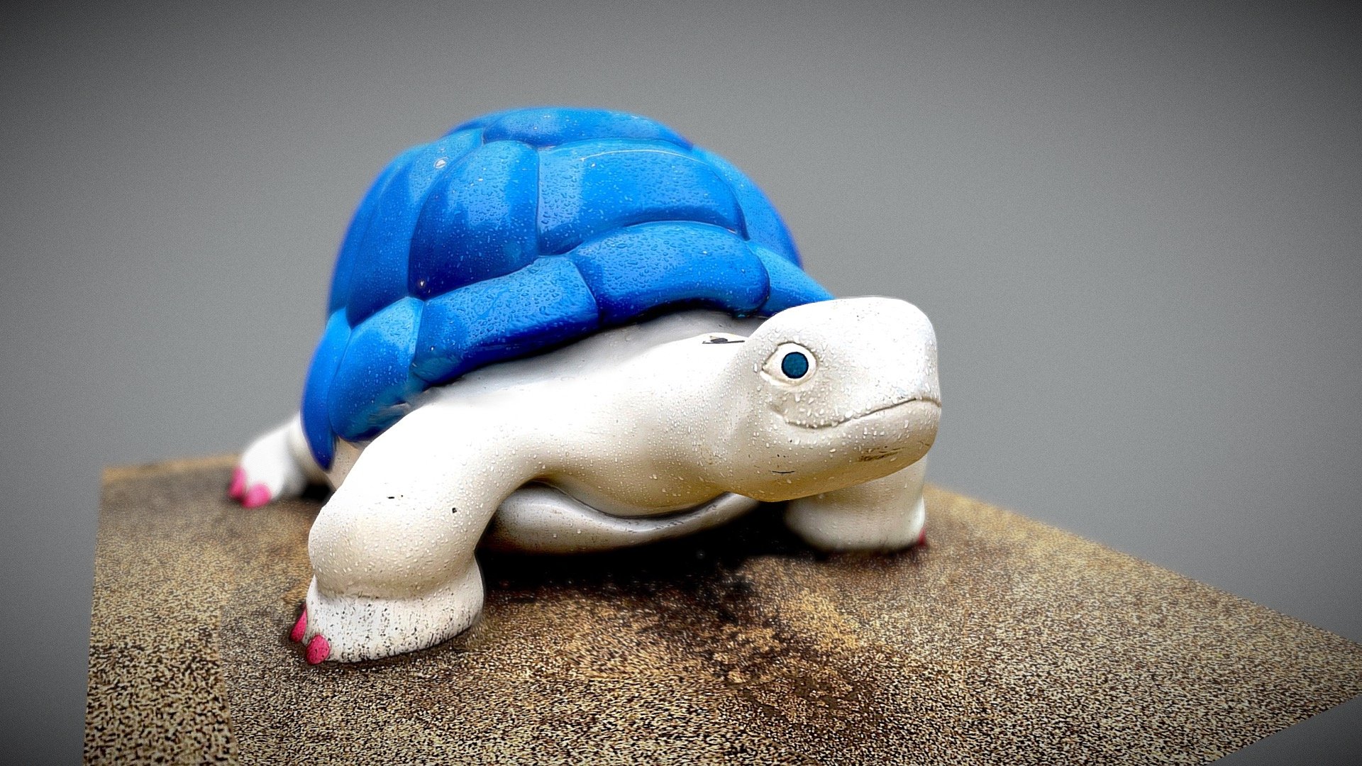TURTLE:リクガメ