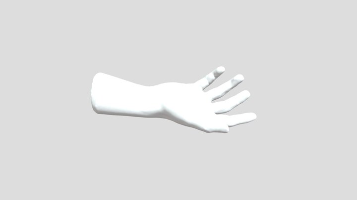 3D Scanned hand model 3D Model