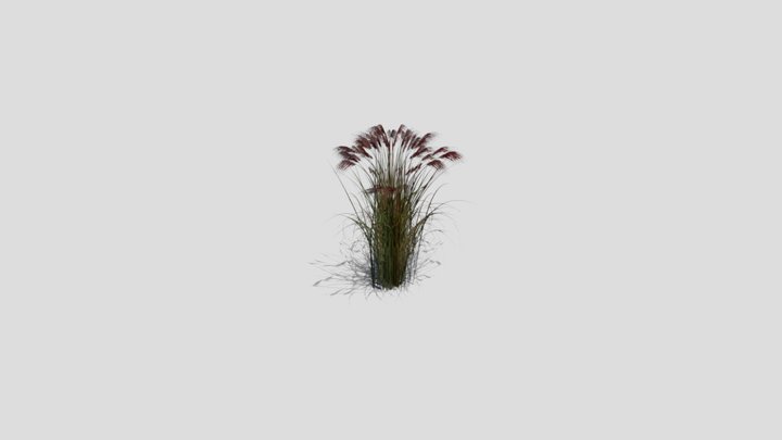 Grass 3D Model
