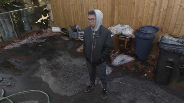 Backyard Test 3D Model