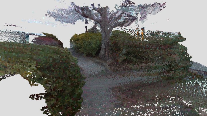 point cloud garden 3D Model