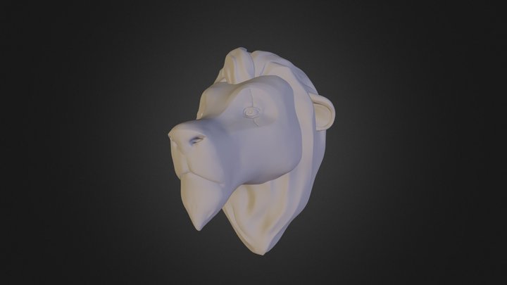 Scar 3D Model
