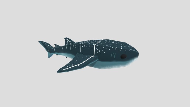 Whale_Shark 3D Model