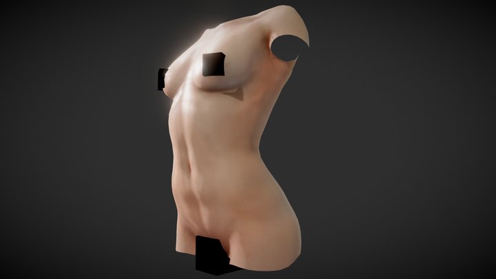 Fit Female Anatomy - Torso base mesh 3D Model
