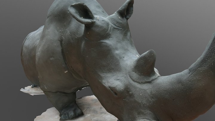Носорог 3D Model