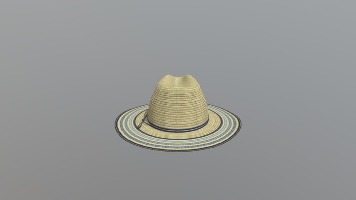 Fedora Hat 3D Model 3D Model