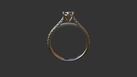 BM Custom Ring V3 3D Model
