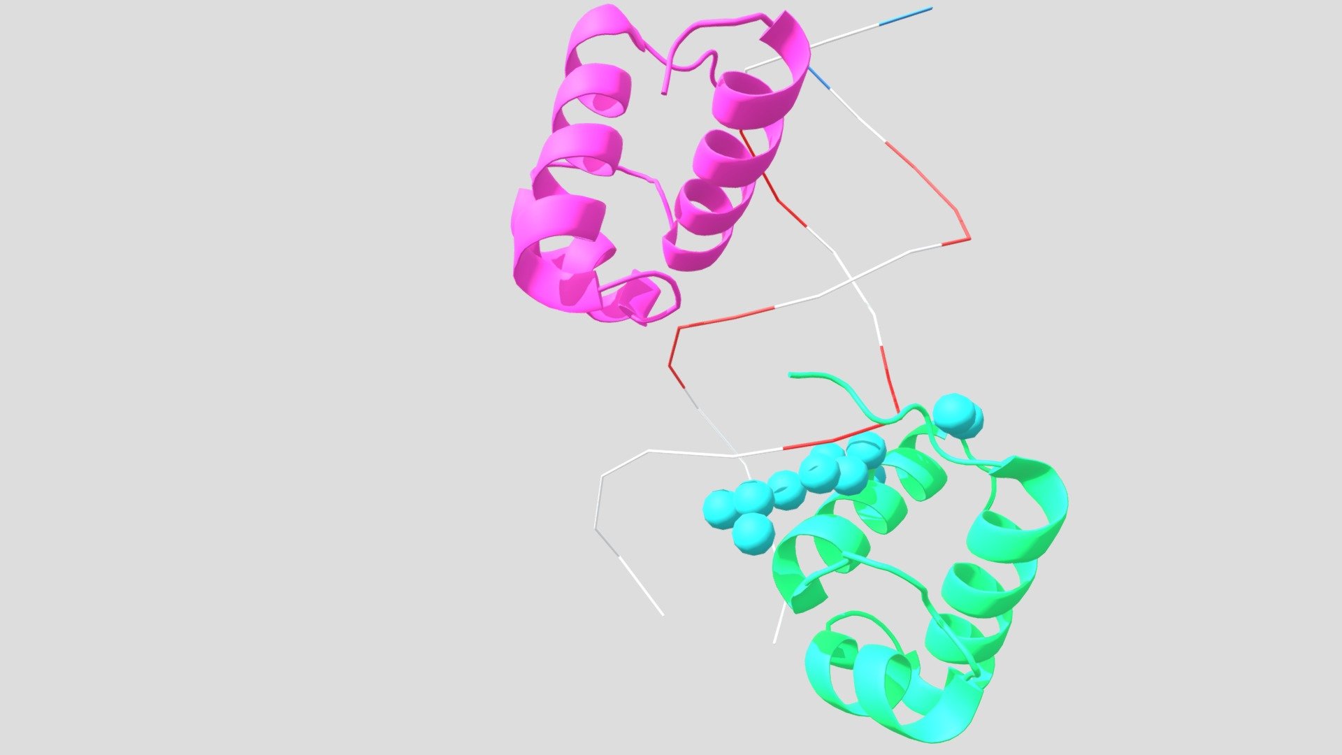 TRF2-DNA - 3D model by k.t.nyunt345 [7311a5d] - Sketchfab